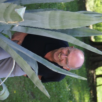 Ernst H. Döring